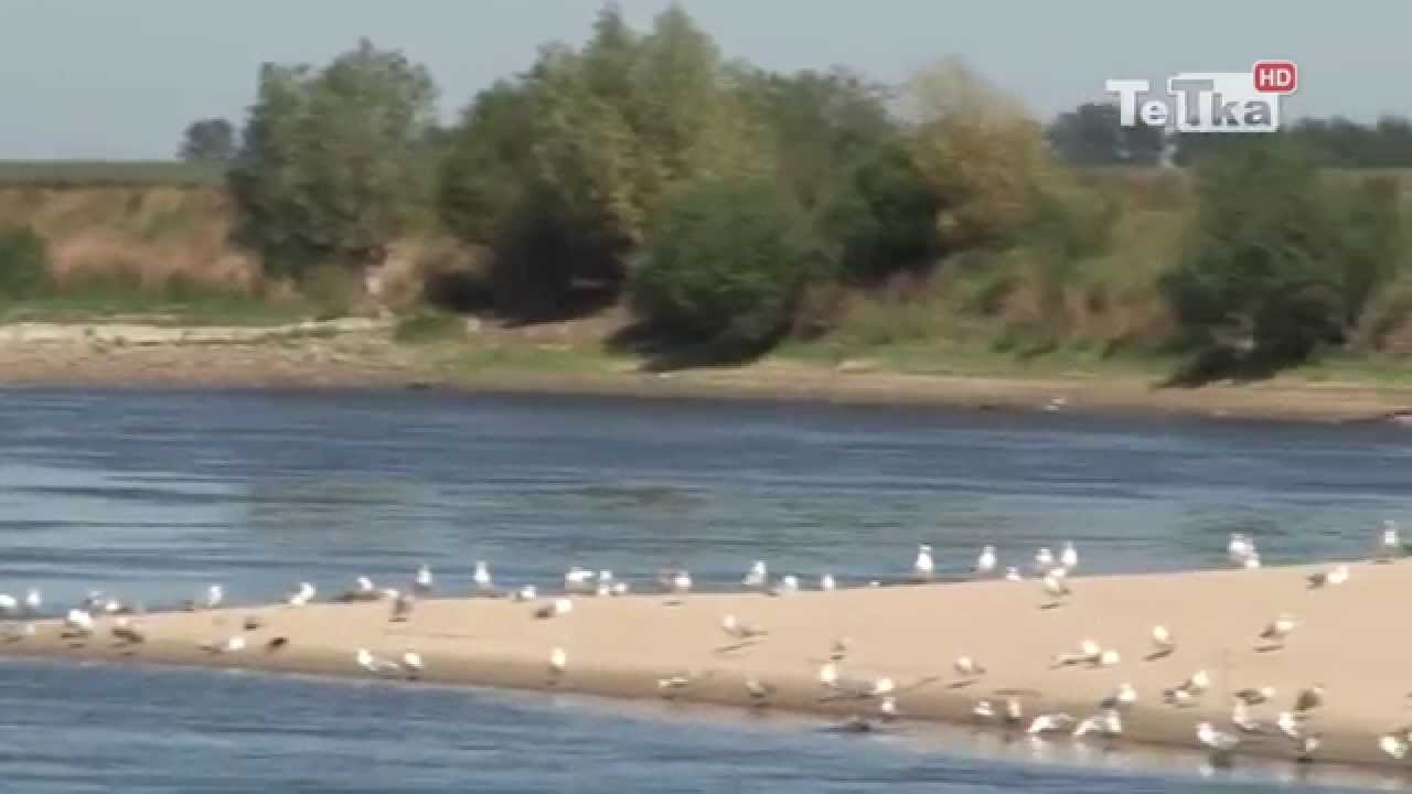 Niski stan wody w Wiśle - Tv Tetka Tczew HD