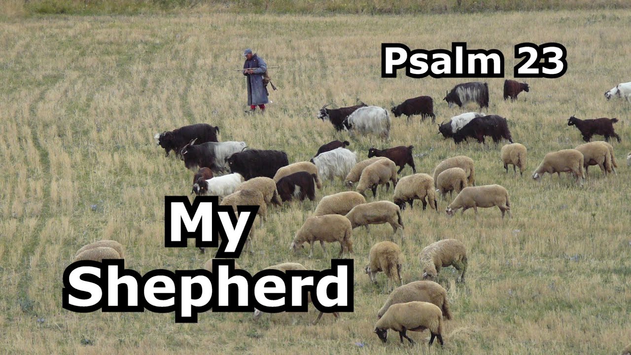 My Shepherd (Psalm 23)