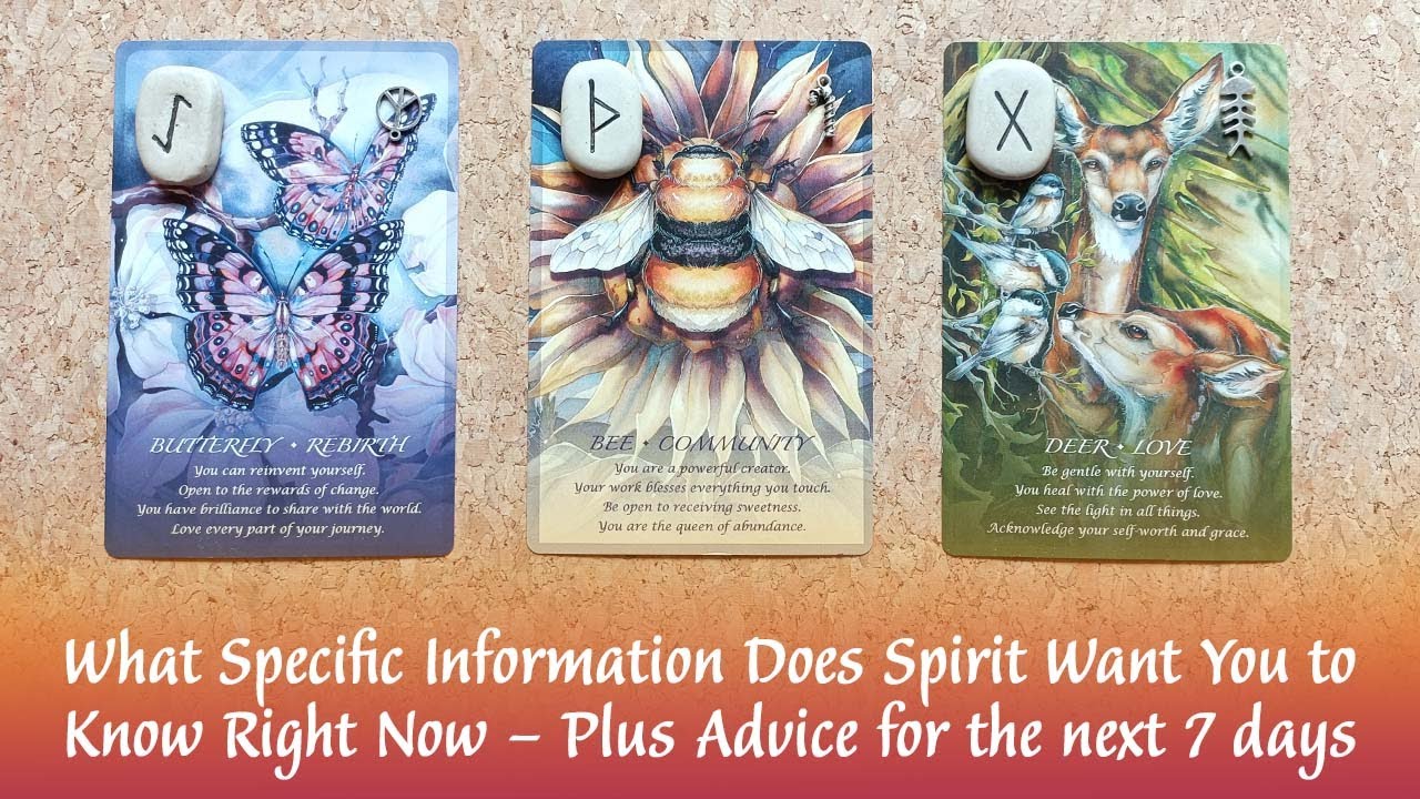 🙏🥰🤩🤗DETAILED MESSAGE FROM YOUR SPIRIT GUIDES RIGHT NOW & ADVICE FOR THE NEXT 7 DAYS 🤗🤩🥰🙏