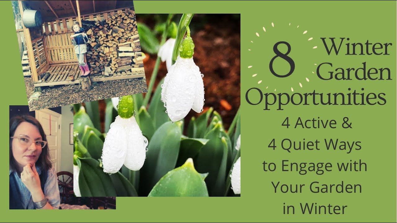 8 Winter Garden Opportunities: 4 Active & 4 Quiet Tasks for Garden Success