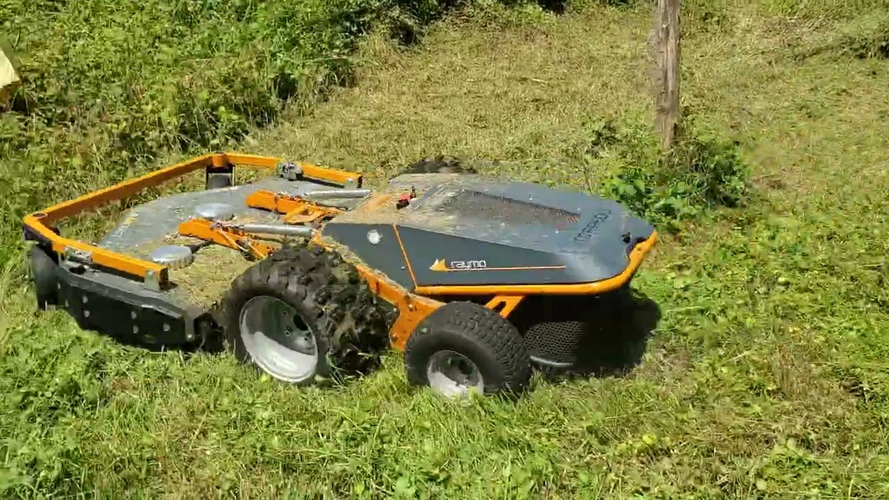 Test tondeuse &eacute;lectrique Raymo