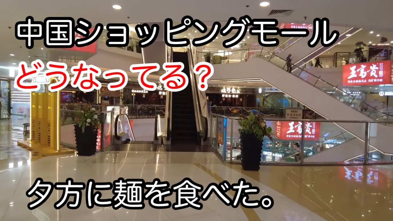 中国の巨大ショッピングモールの状況 上海市中山公园龙之梦 2025年5月撮影
