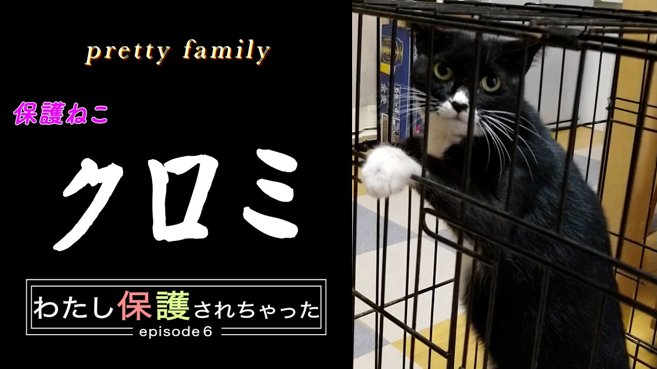 pretty family〜episode6「わたし保護されちゃった」〜by クロミ