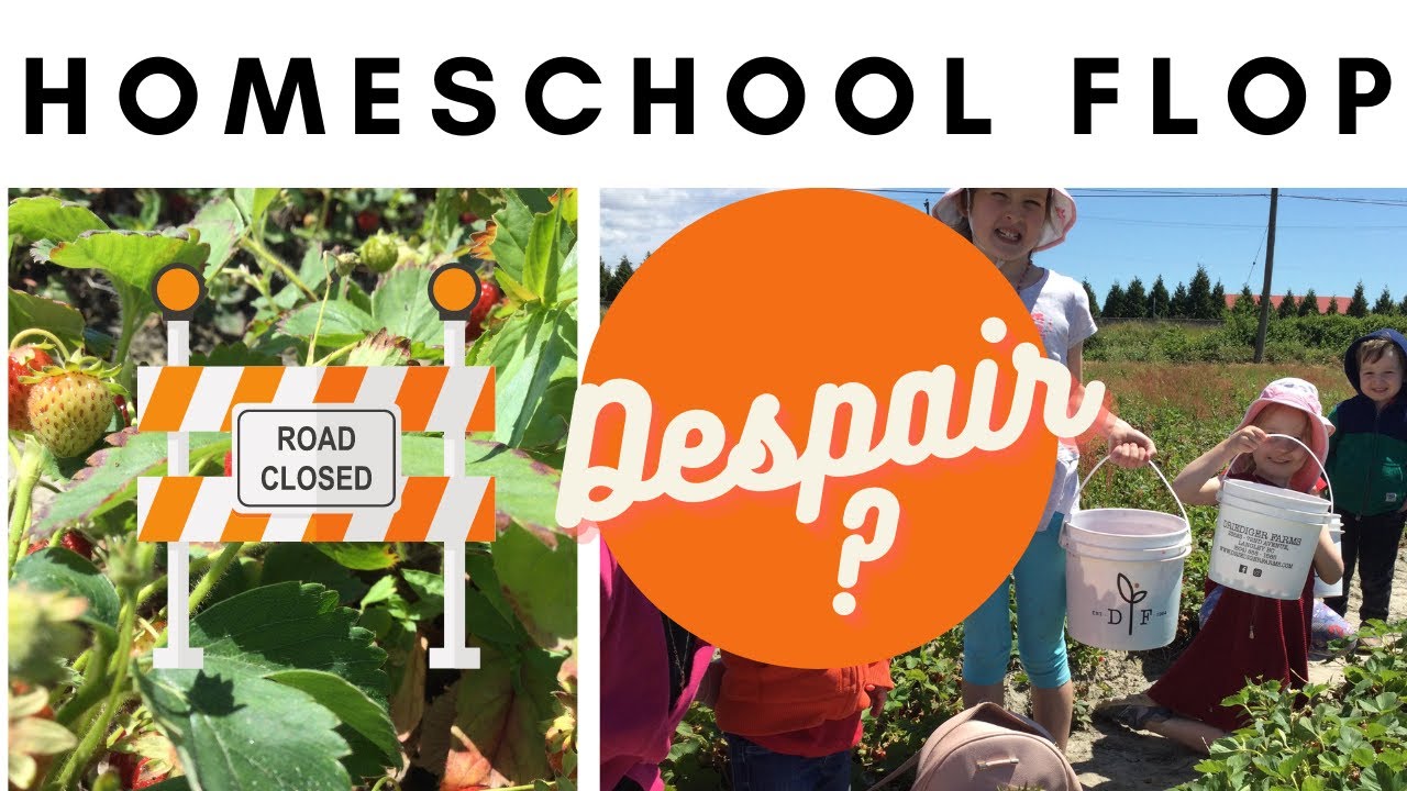 Homeschool Flop I Despair or Try Again?