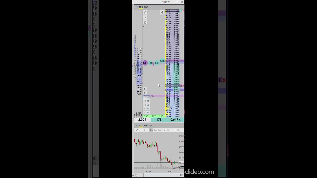 Зона AXSUSDT 2026 01 20 184202