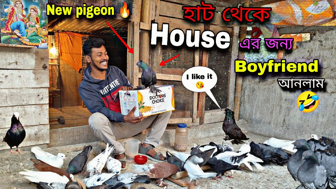 হাট থেকে House এর জন্য Boyfriend কিনে আনলাম🤣#myworld #petsvlog 