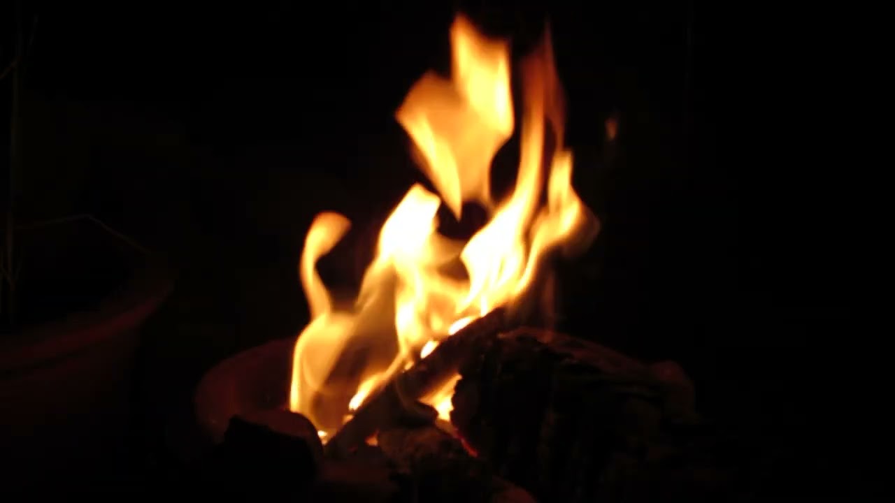Warm Firewood Glow 🔥 | Silent Outdoor Serenity