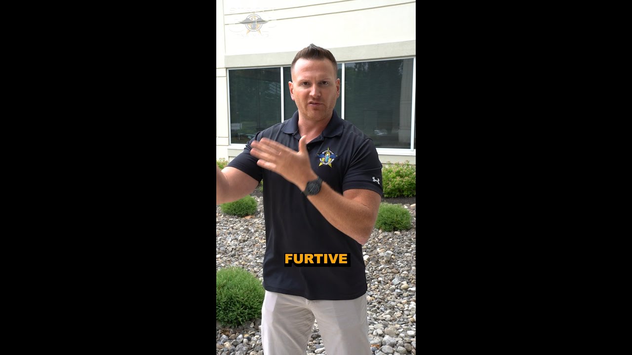 Furtive Movements