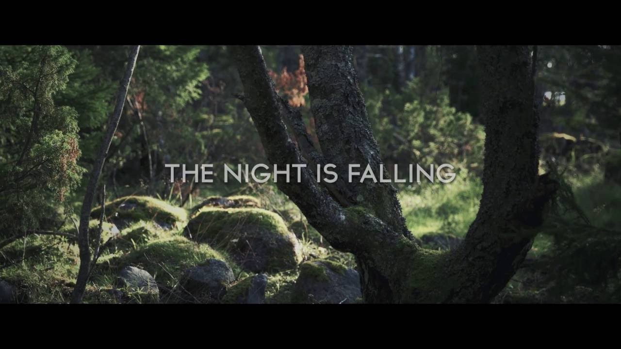 Tobias T&aring;g - Green Shadow (Official Lyric Video)