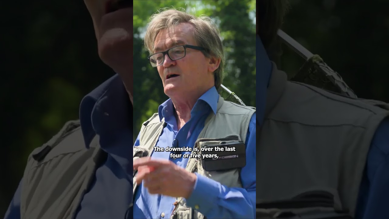 Former Undertones frontman Feargal Sharkey reflects on this 