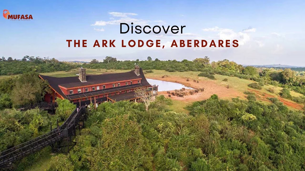 THE ARK LODGE ABERDARES | A Unique Safari Experience in Kenya