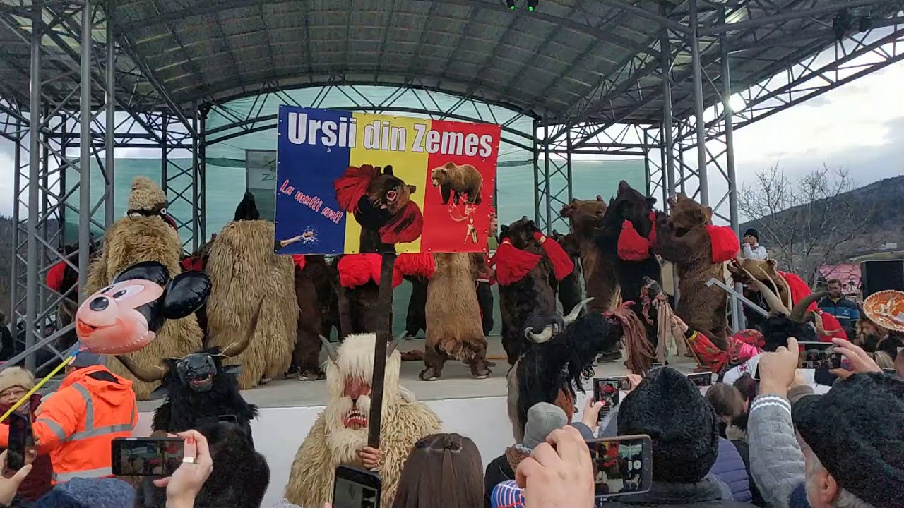 Ursul din Zemes 2019 ! Partea 1