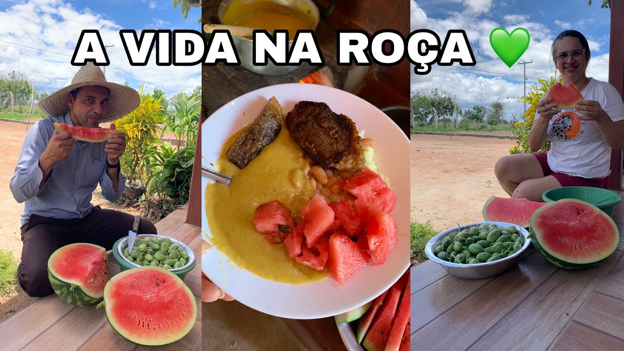 A Vida na Ro&ccedil;a &eacute; Assim 🌻 Colheita, Fog&atilde;o de Lenha e Comida de Verdade!