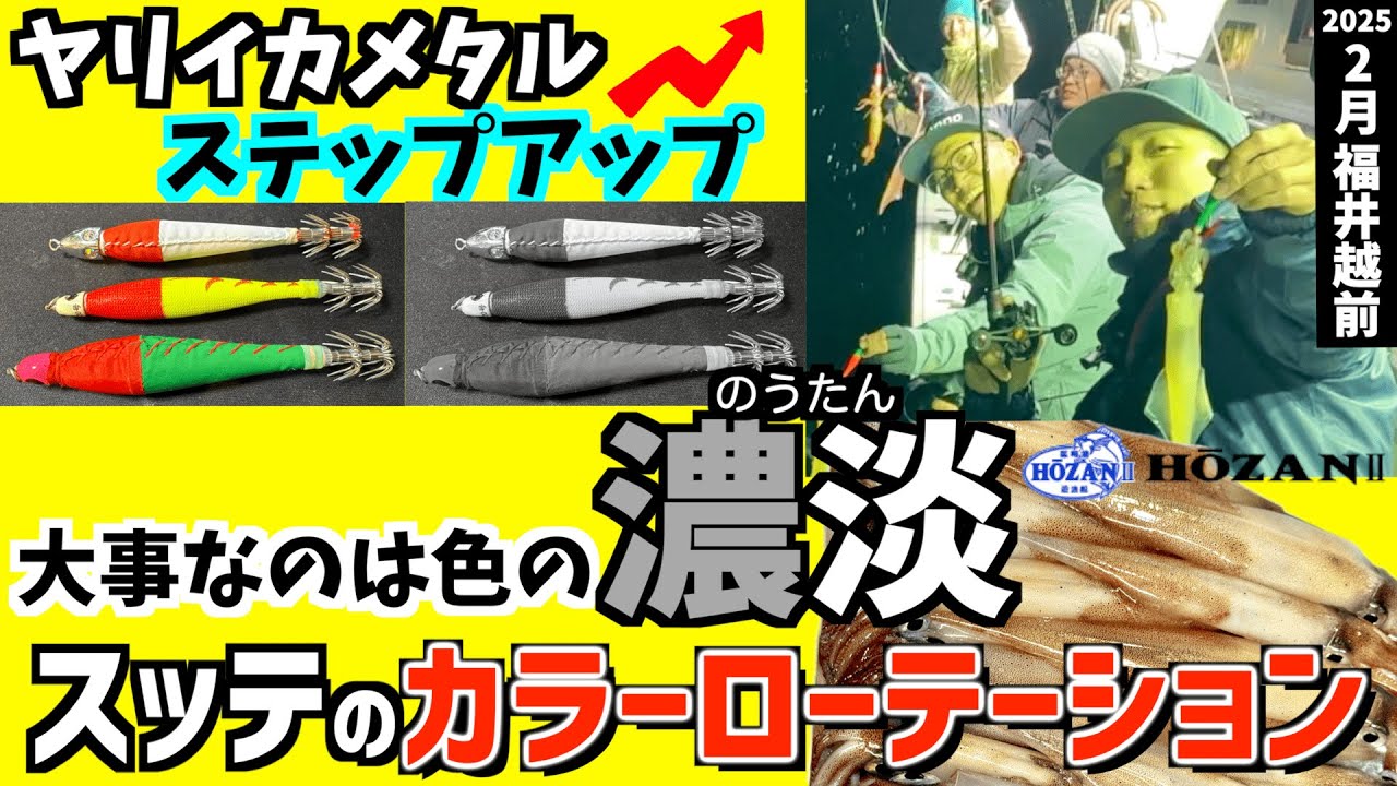 なんとなく釣るイカメタルから卒業する！『竿頭』を獲ったヤリイカのカラーローテと誘い方を解説！【越前イカメタル2025】