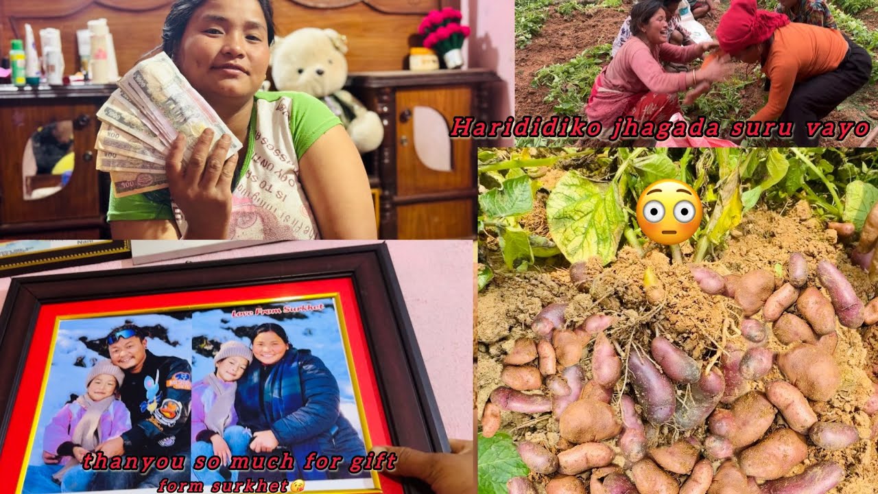Aalu ta katidherai faleko ho🥔Rati rati yatro paisa ani gift kaha bata aayo??#siruthapamagar#vlog 