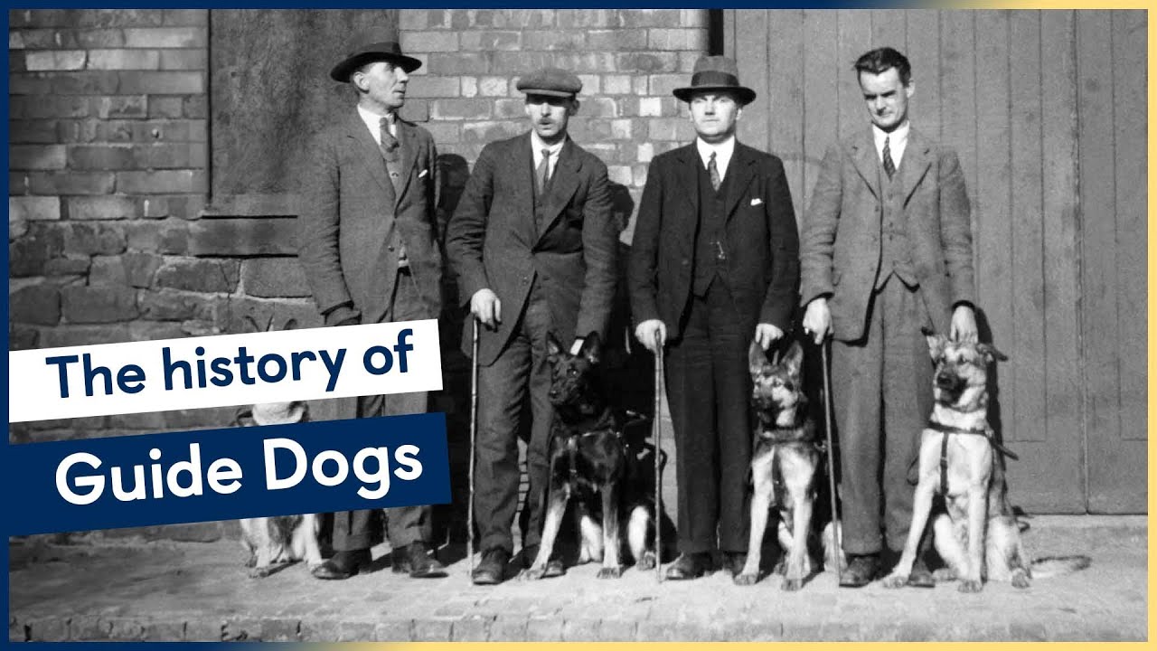 The history of Guide Dogs – featuring our very first guide dog partnerships