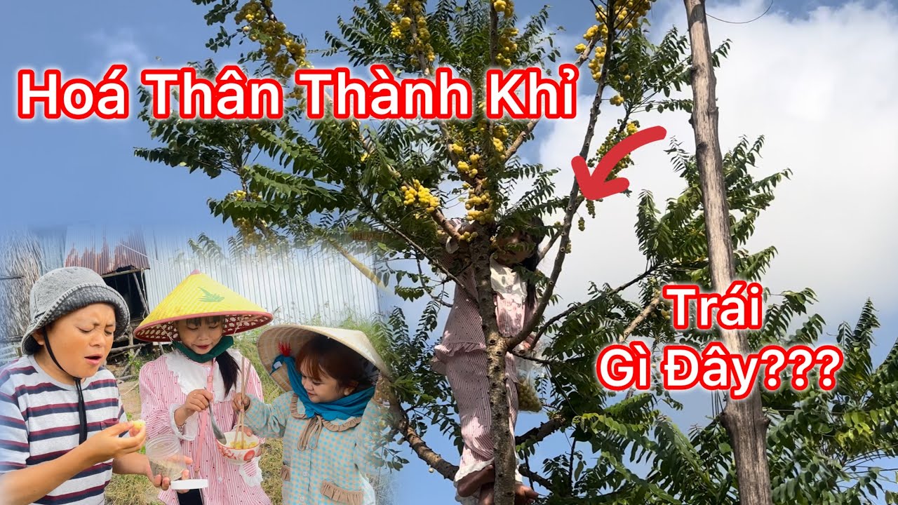 Hai Chị Em Vào Thăm Lại Vuông Anh Vĩnh Sau 2 Tuần - Bất Ngờ Gặp Được 2 Chàng Trai Độc Lạ