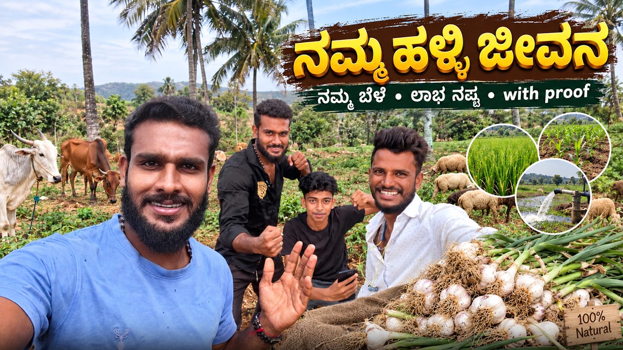 ಈ ವರ್ಷ ಕೃಷಿಲಿ ಎಷ್ಟು ಲಕ್ಷ ಸಿಕ್ತು ನೋಡಿ😱 | Avatar Shiva Vlogs