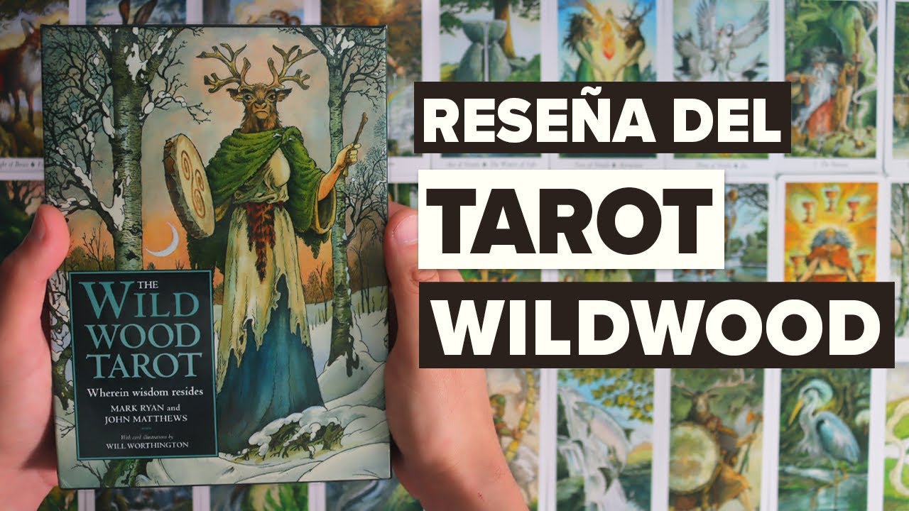 Reseña del Tarot Wildwood 🫎🌳
