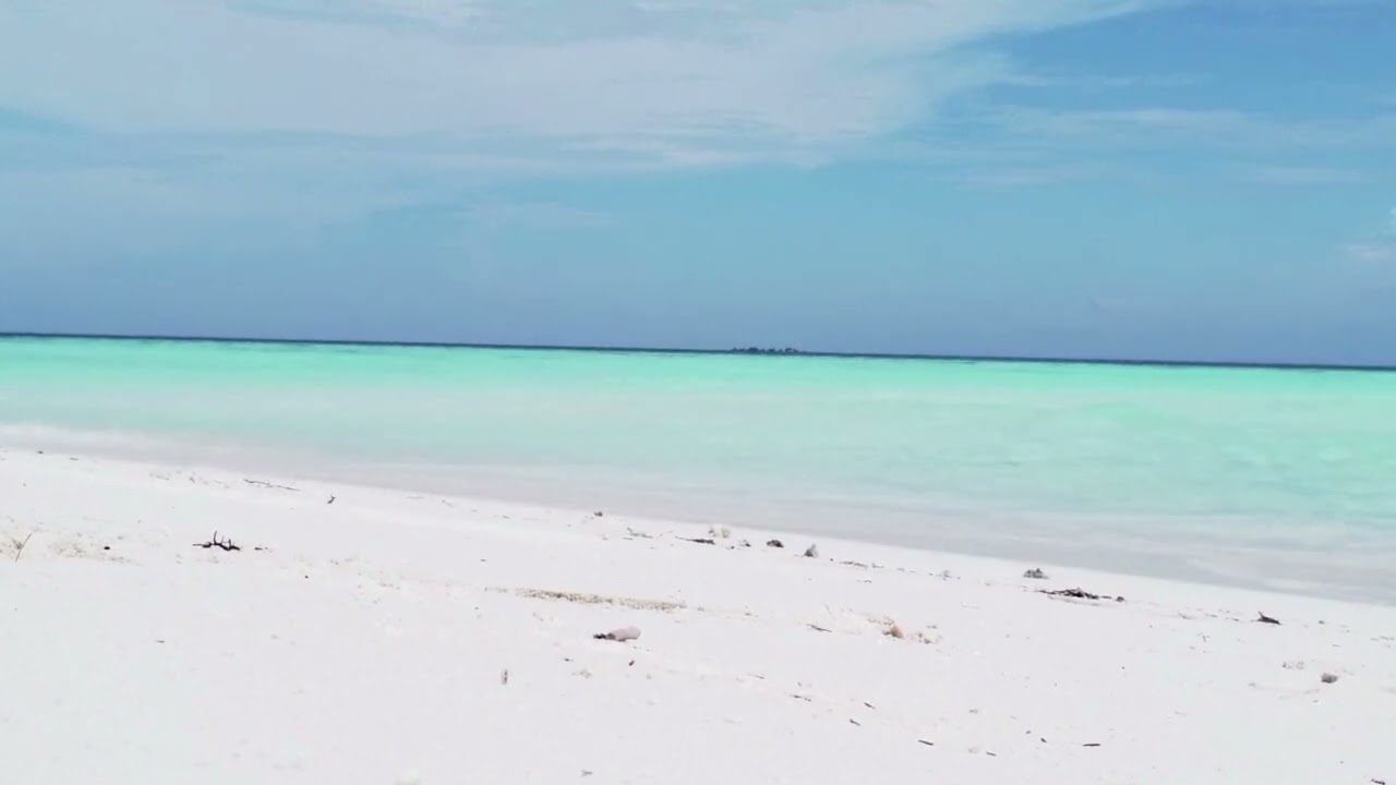 Best Sound of Ocean Waves & Wind . 1 Hour of Relaxing Sounds 