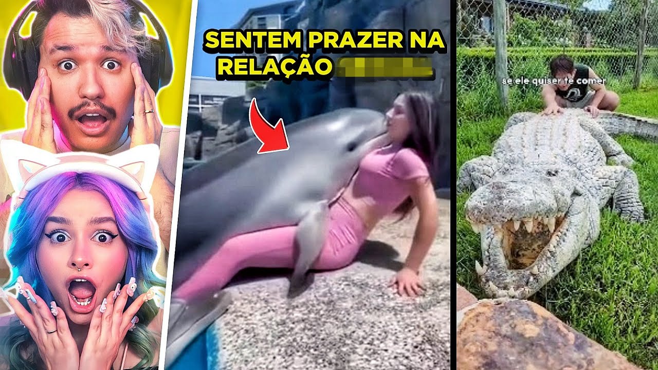 Eles fazem O QUÊ? Curiosidades Curiosas inacreditáveis do reino animal!