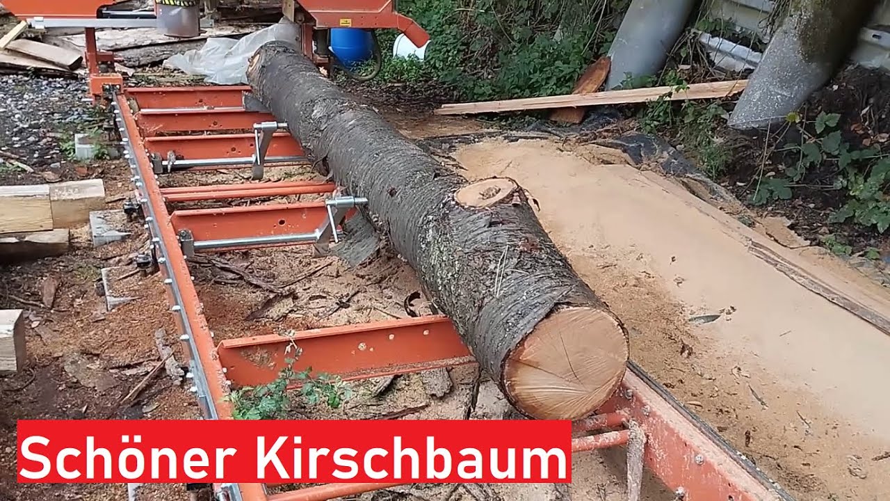 Besäumte Bretter schneiden mit der Bandsäge. Mehr Kirschbaum für das Sägewerk.