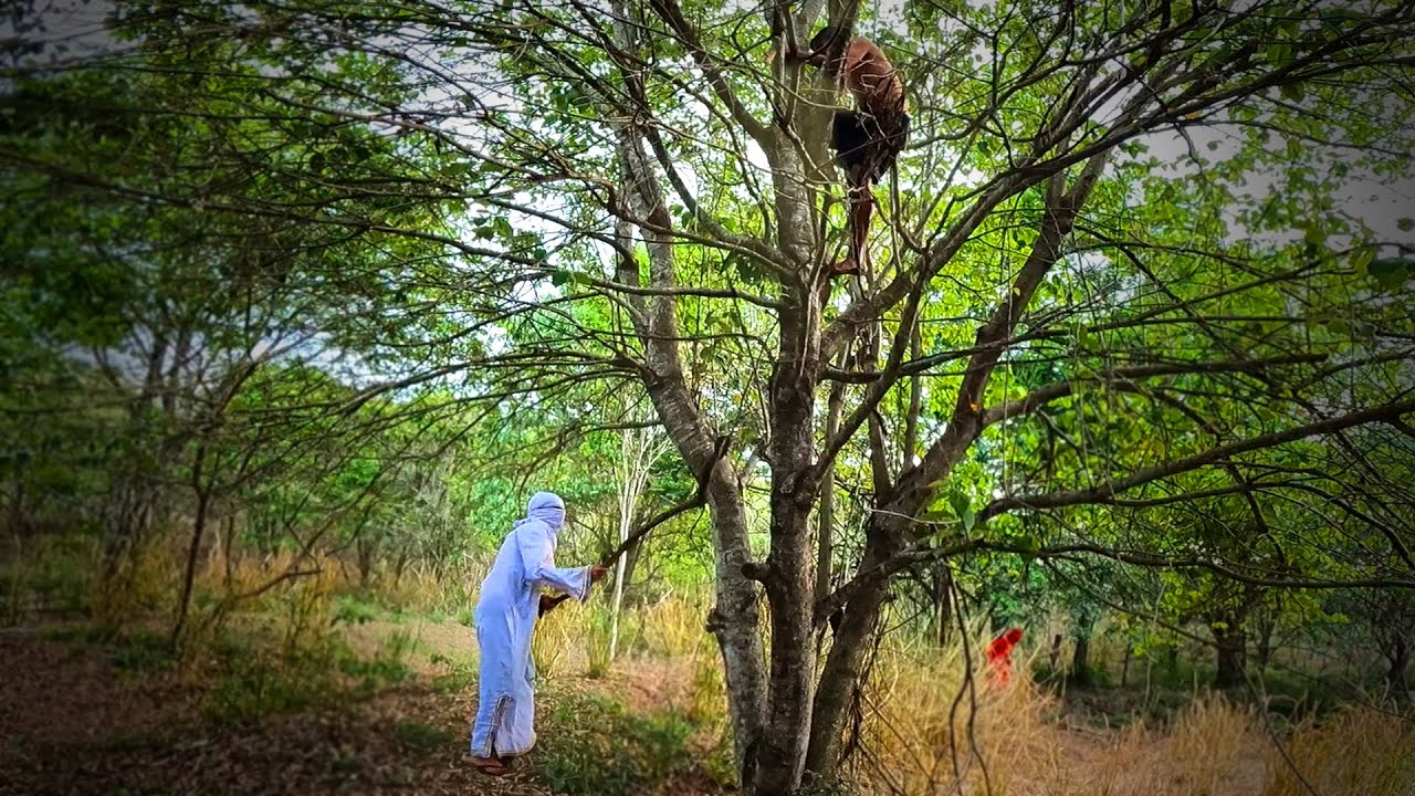 ÉPICO! Fuga nos árabes e combate contra eles em cima da árvore