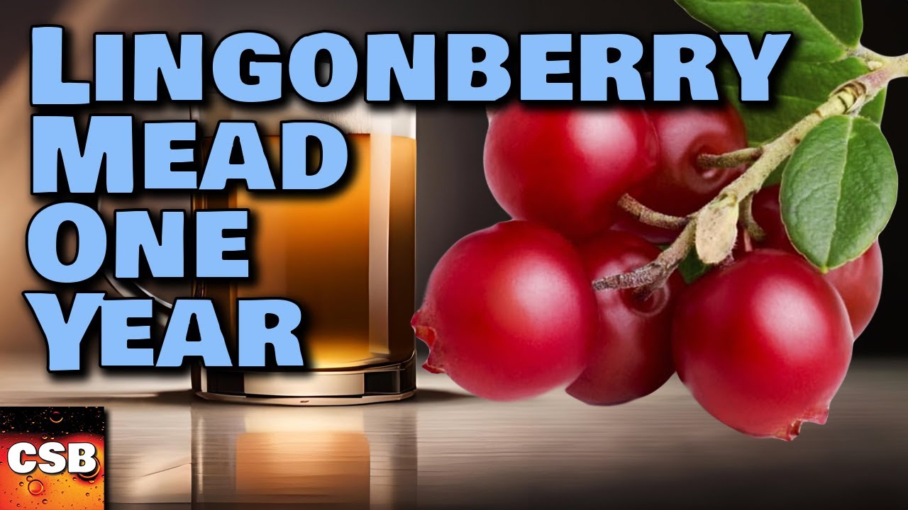 We Drink Lingonberry Mead ONE YEAR Old - Ikea Mead!