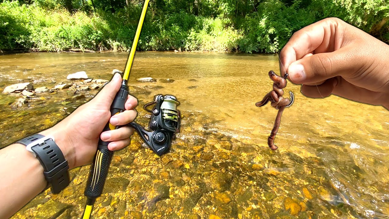 Creek Fishing w/ WORMS for Whatever Bites!!