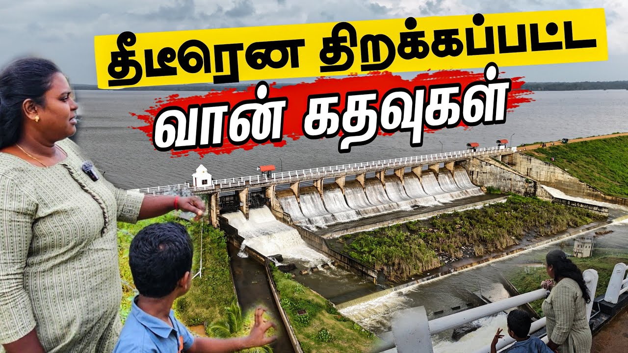 நள்ளிரவில் திறக்கப்பட்ட முத்தையன்கட்டு குளம் மீன்களை அள்ளும் மக்கள் | Our Village lifestays