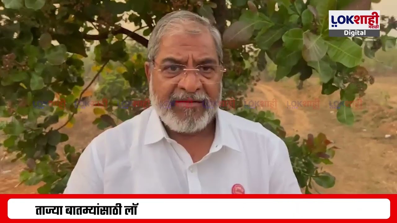 Raju Shetti। 'राज्य सरकारने कर्जमाफीमध्ये आंबा-काजूचा समावेश करावा'। Lokshahi Marathi