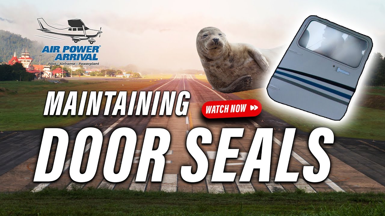Maintaining Door Seals