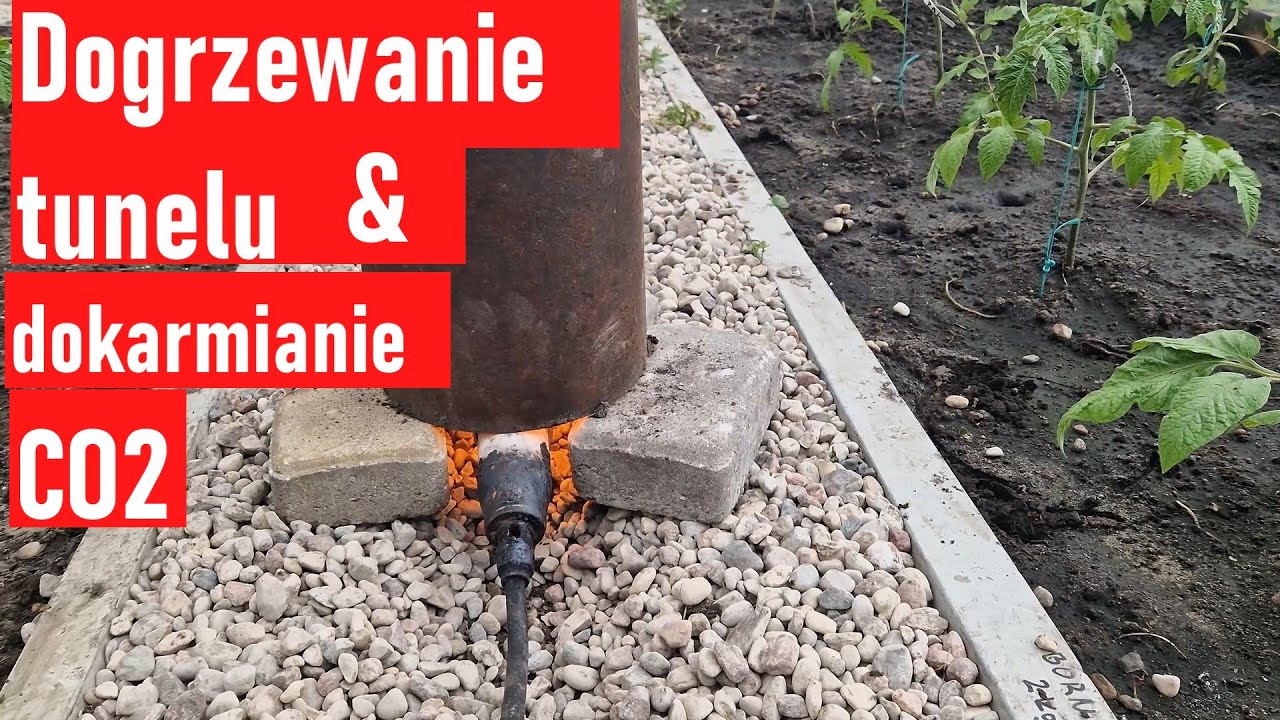 Dogrzewanie tunelu i dokarmianie Pomidorów CO2