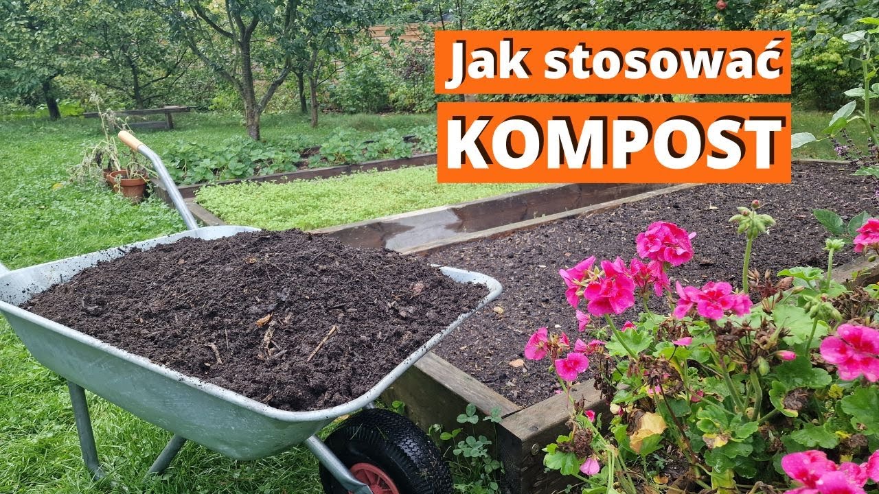 Jak stosować kompost. Kompostowanie rabat, a nawozy zielone.