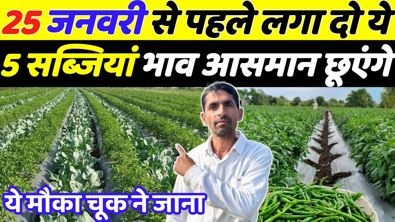 25 जनवरी से पहले लगादो ये 5 सब्जियाँ भाव रिकॉर्ड तोड़ेंगे | January me konsi sabji lagaye | Kheti