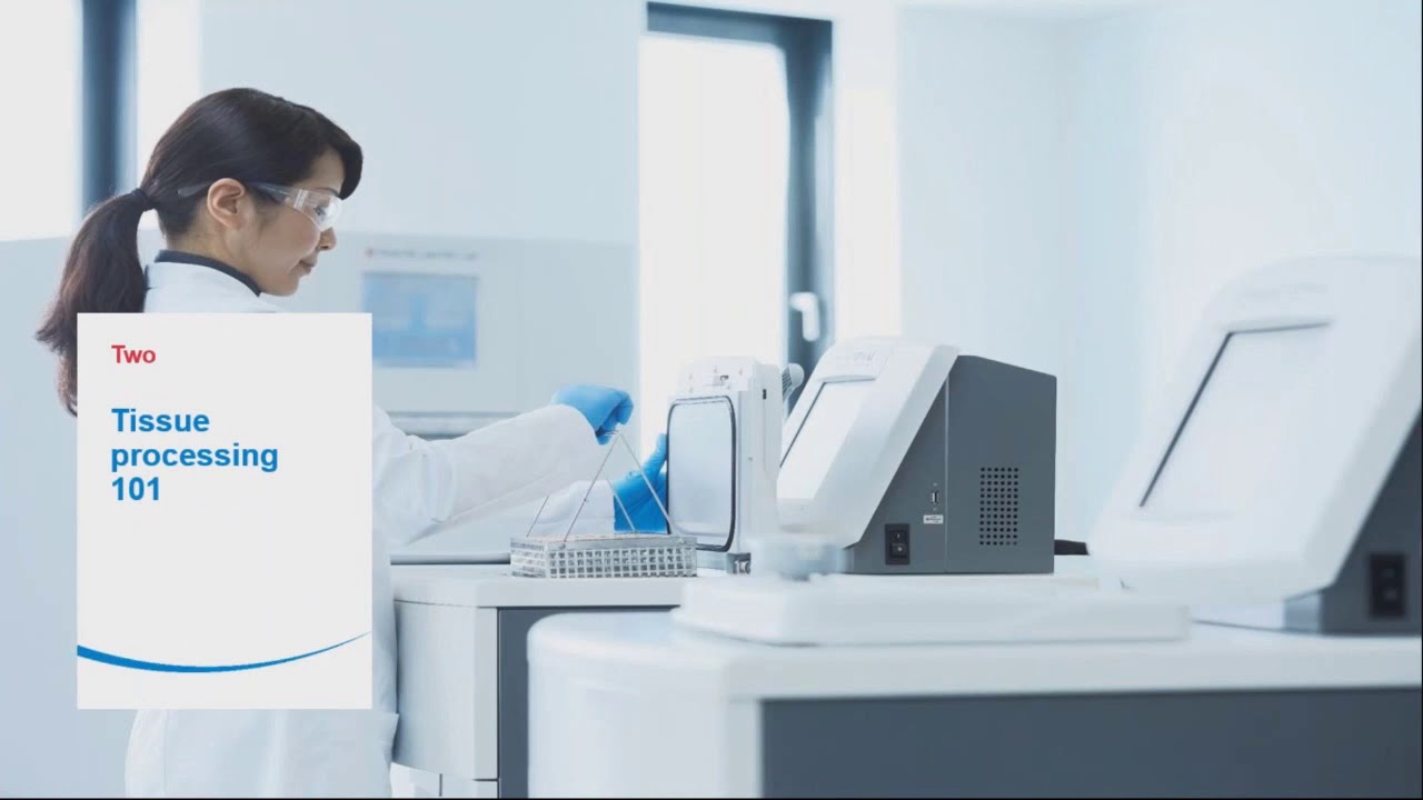 Understanding Tissue Processing Protocols