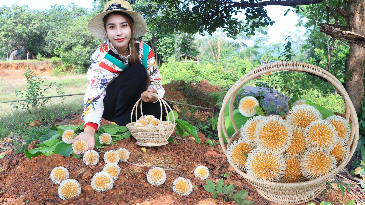 Have you ever seen this fruit at your Country? - Polin lifestyle