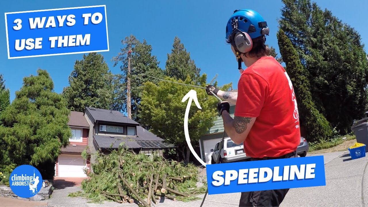 SPEEDLINE: 3 различных метода для облегчения работы с деревом