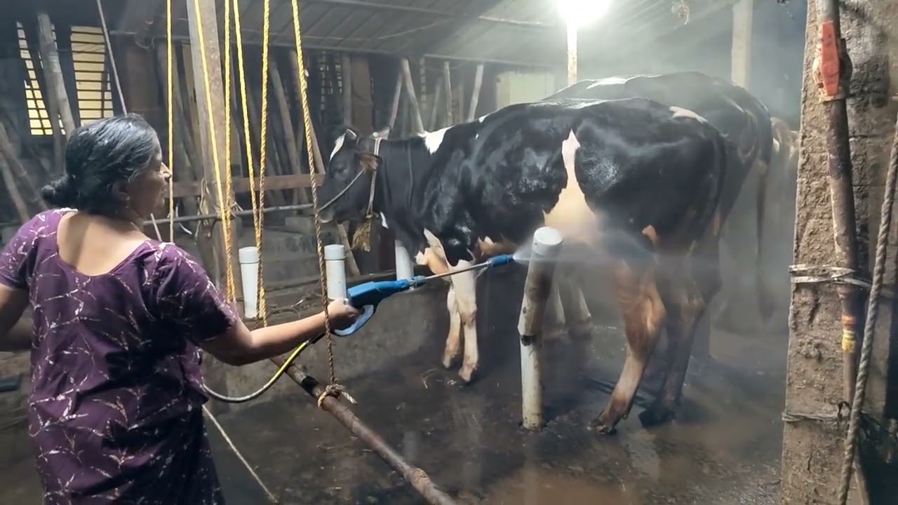 പ്രഷർ വാഷർ വാങ്ങിച്ചു 