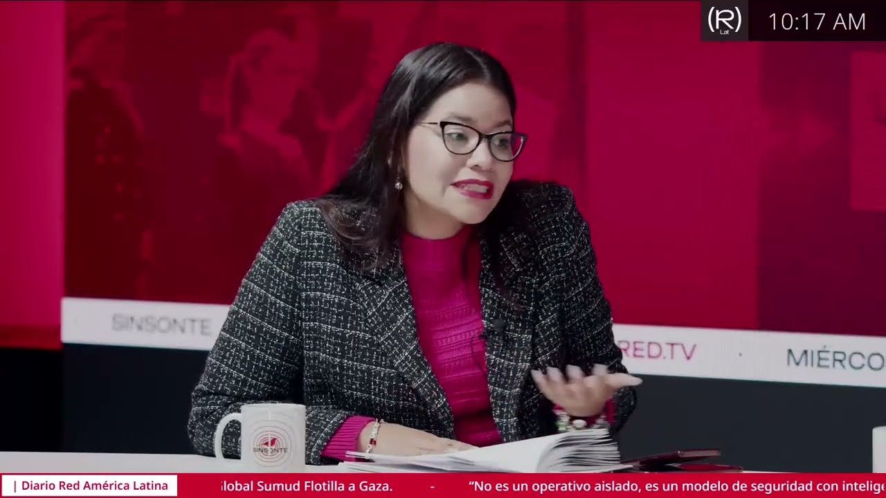 ¿Qué está en juego con la reforma electoral? | SINSONTE 19 de febrero
