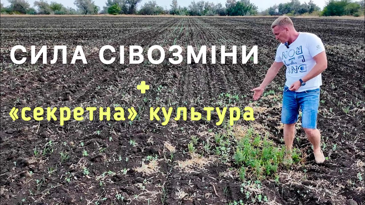 Посуха й війна можуть обнулити будь-кого. Але тут - інша історія
