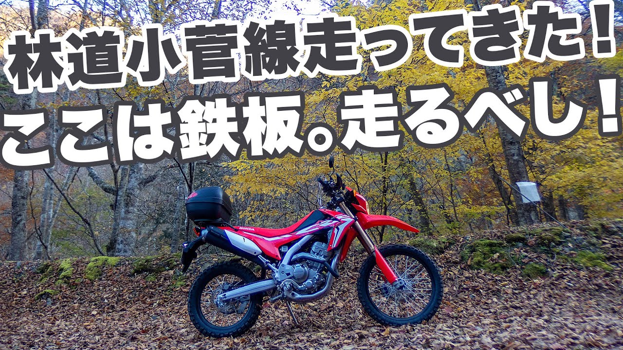 鉄板のフラット林道。山梨県小菅村の林道小菅線を走ってきた！【CRF250L】【モトブログ】【motovlog】【林道】【ツーリング】