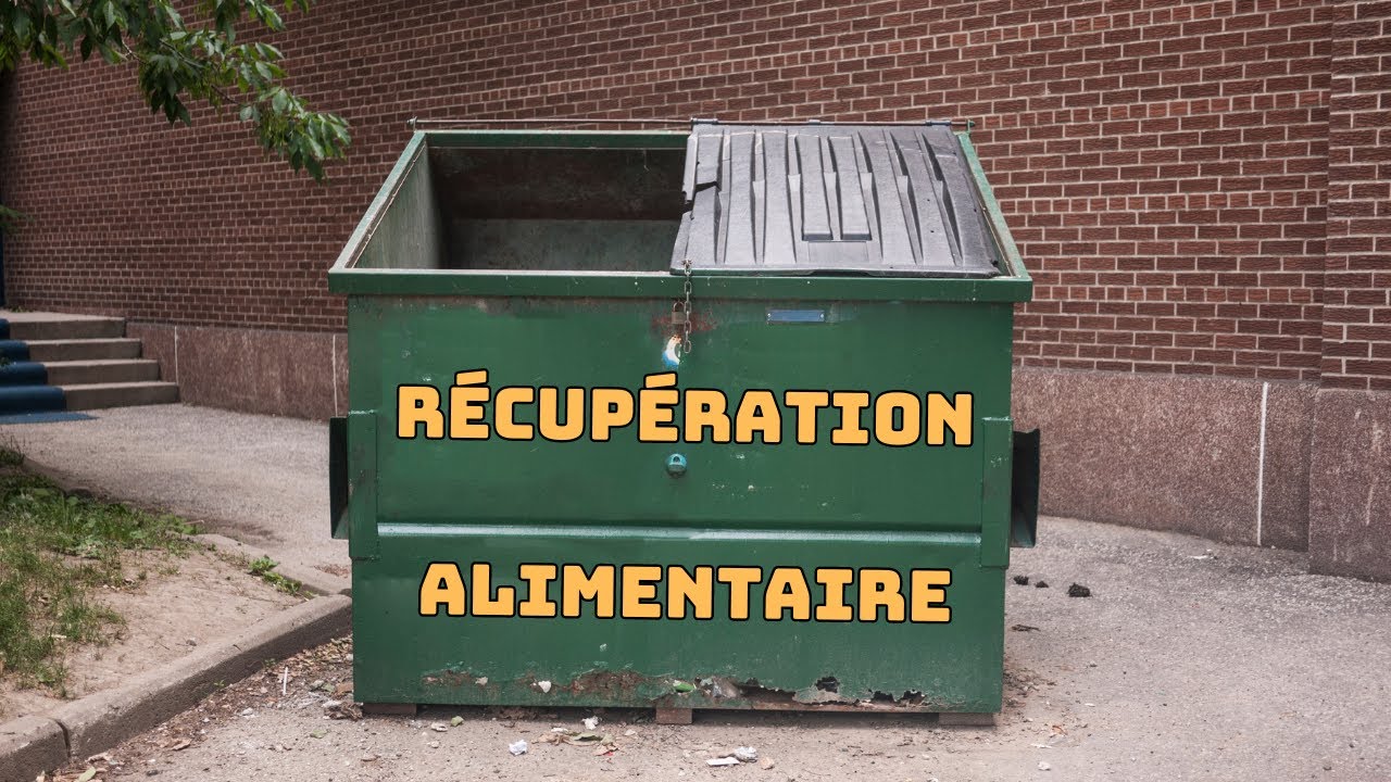Comment Manger Gratuitement : Récupération Alimentaire dans les Poubelles ! 🍎