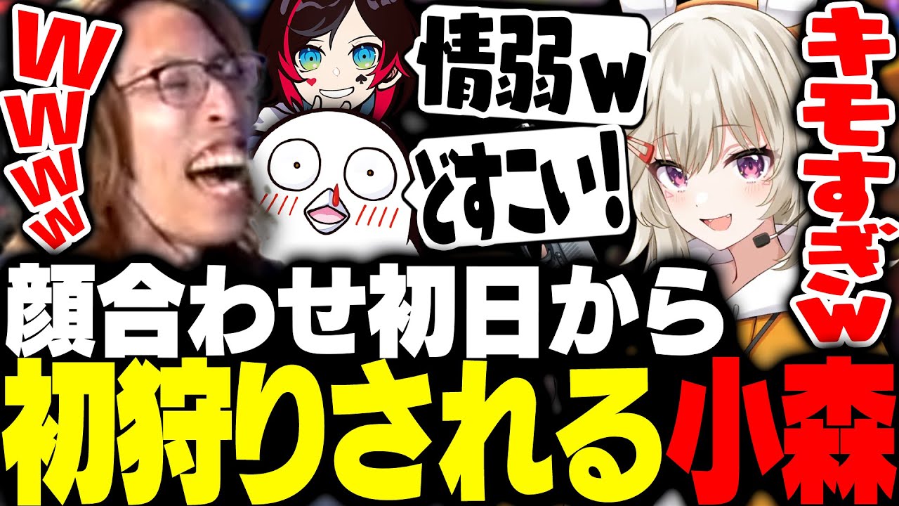 顔合わせ初日からチームメンバーに初狩りされまくる初心者小森めと【ストリートファイター6】