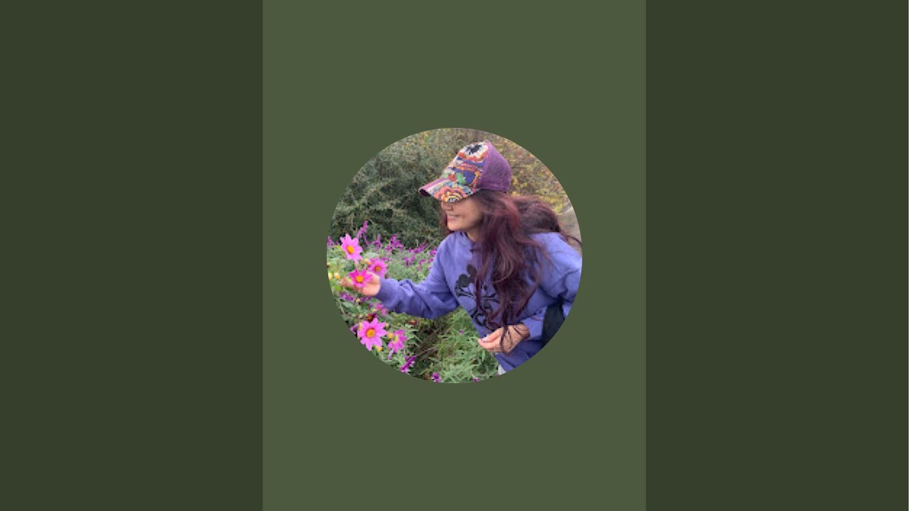 Zumba - dân vũ .Mai Hà phát trực tiếp