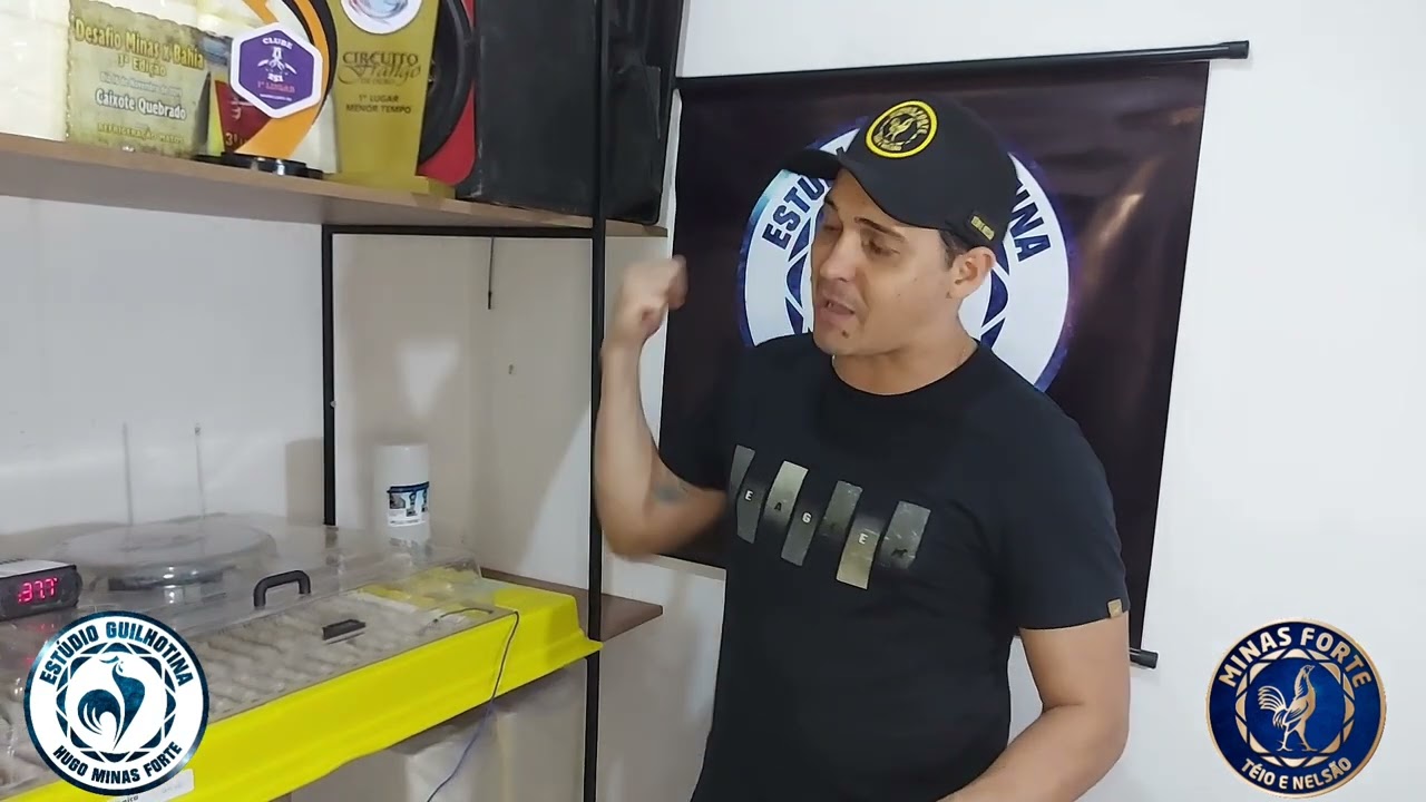 TEMPERATURA E UMIDADE IDEAL NA CHOCADEIRA