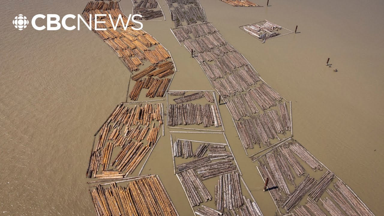 Separating fact from fiction in the U.S.-Canada softwood lumber trade war