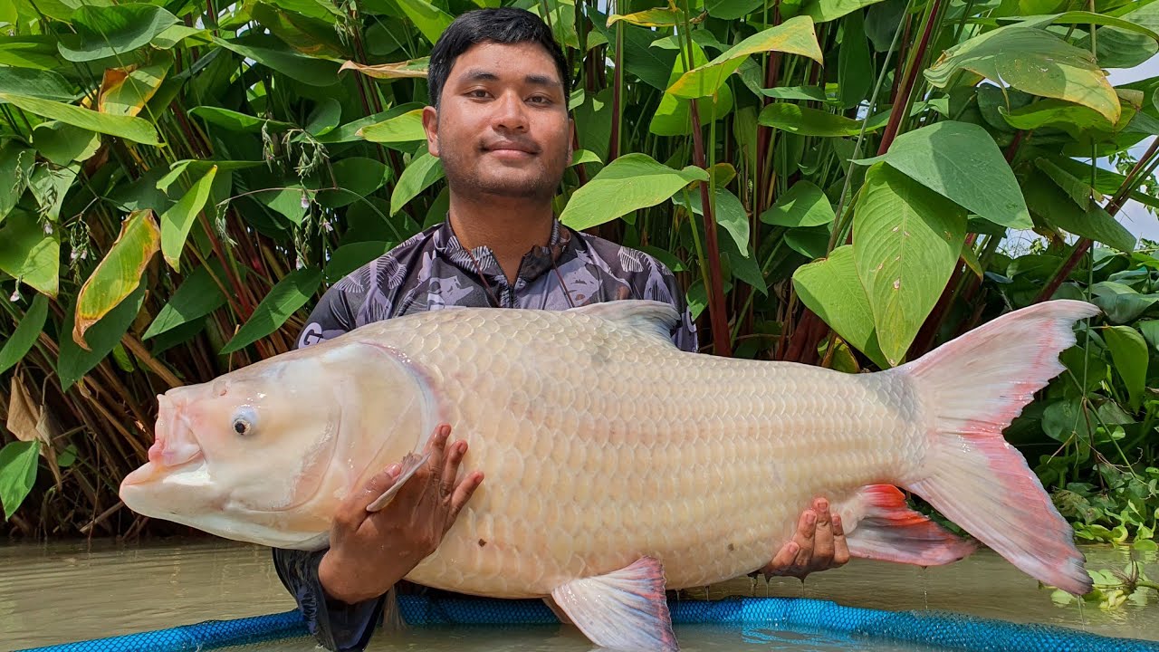Jurassic Mountain Resort fishing Day 1