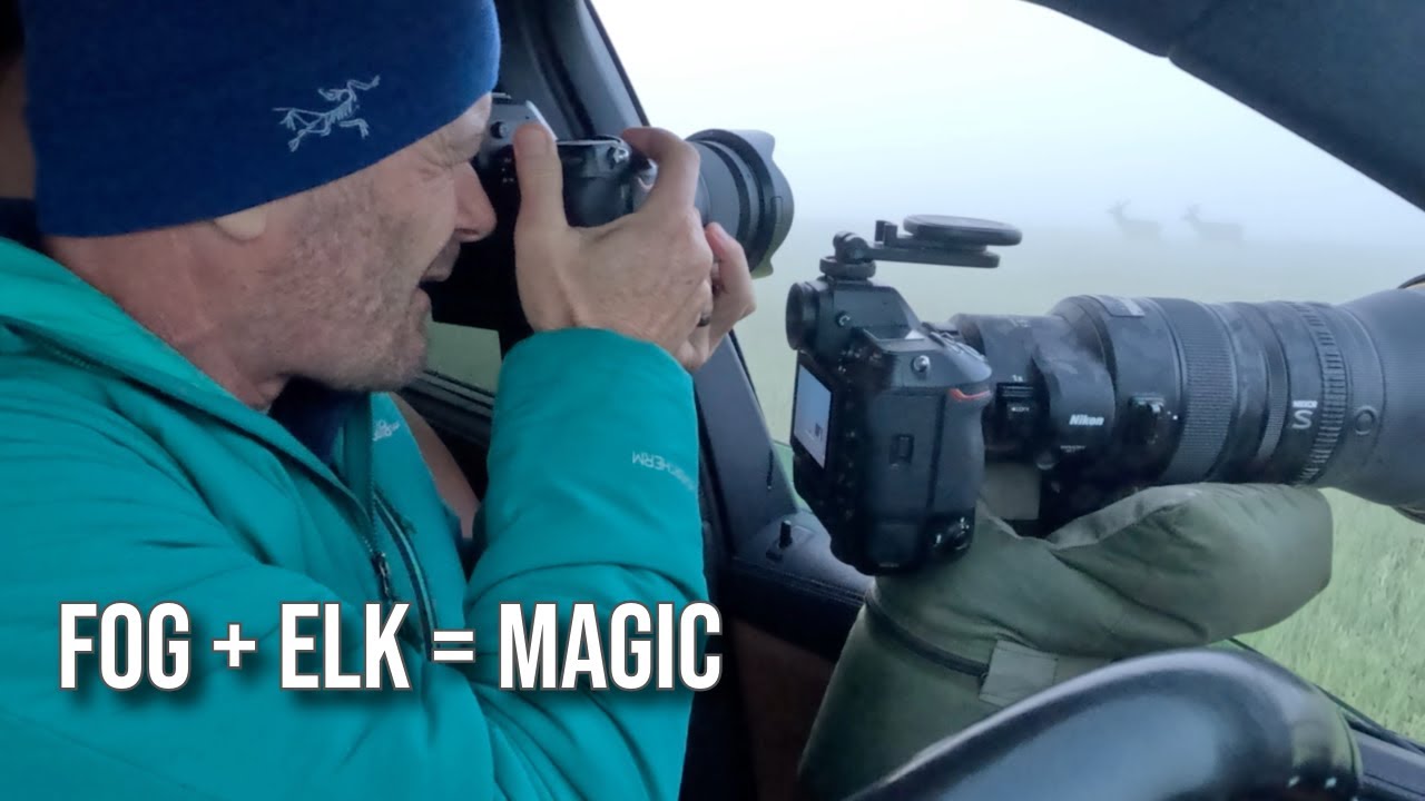 Bull Elk In The Fog Made My Heart Sing - Grand Teton Photo Trip Part 3