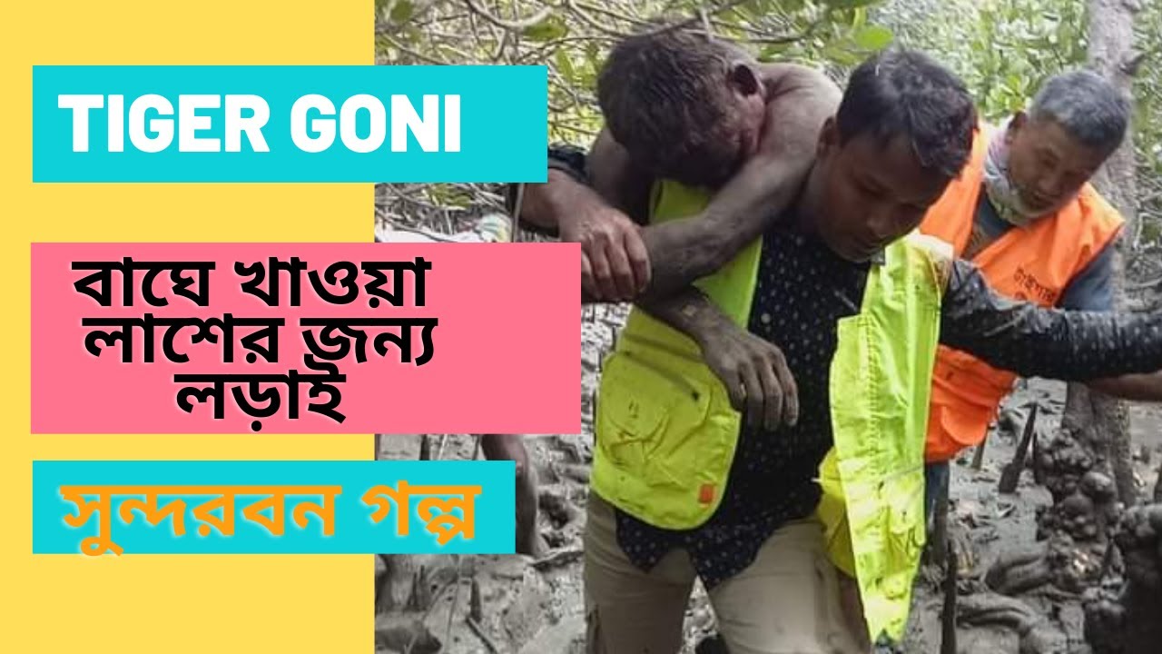 TIGER GONI|The story of survival from tiger attack|সুন্দরবনে বাঘের মুখ থেকে মানুষ ছিনিয়ে আনা এক মানব